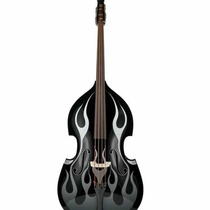 Avis & Test de la contrebasse Thomann Rockabilly Vintage Flames BK/V