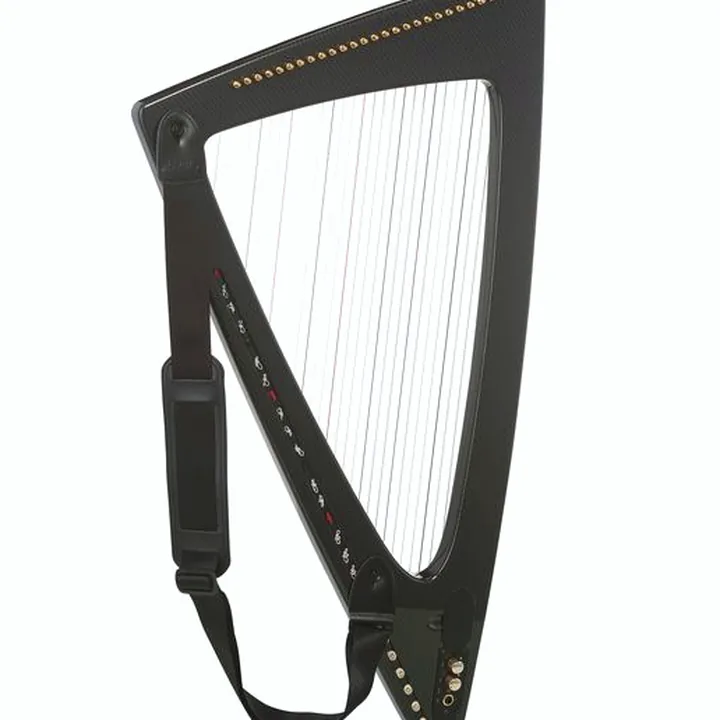Avis & Test de la harpe Salvi SALDEC-ESS Delta C Carbon