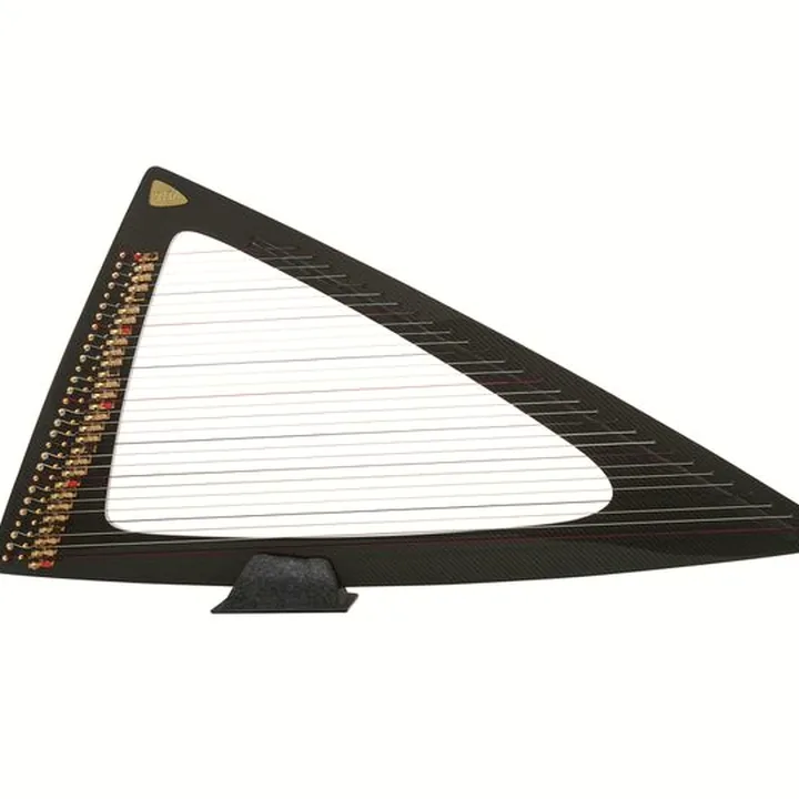 Avis & Test de la harpe Salvi SALDEC-ESS Delta C Carbon