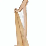 Avis, Test de la harpe Salvi SALDON-DXAKP Donegal Natural