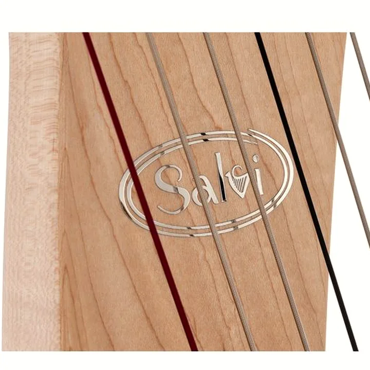 Avis, Test de la harpe Salvi SALDON-DXAKP Donegal Natural
