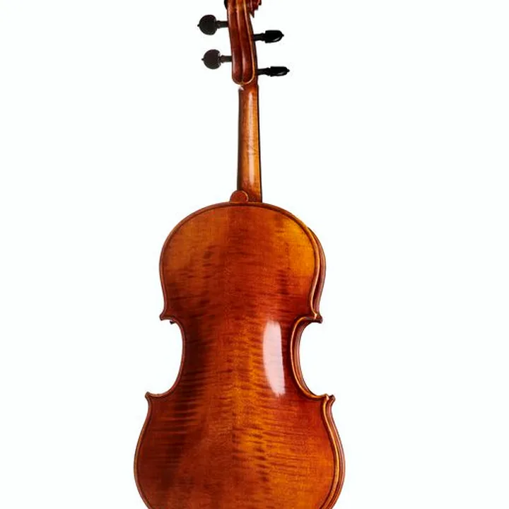 Avis, Test de l’alto Gewa Maestro 41 Viola 15,5 »