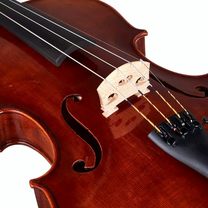 Avis, Test de l’alto Gewa Maestro 41 Viola 15,5 »