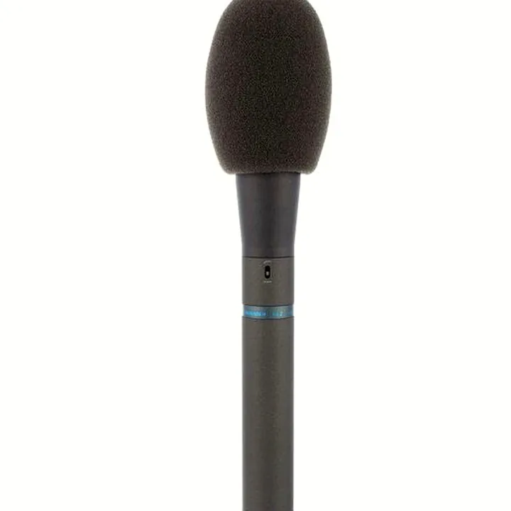 Le micro Audio-Technica AT 8033 : Test, Comparatif, Avis