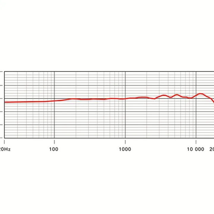 Avis, Test du micro Rode NT1000