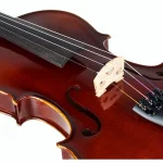 Le violon Gewa Allegro Violin 4/4 OC LH CB / Test et Avis