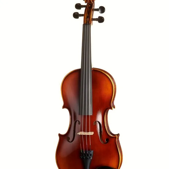 Le violon Gewa Allegro Violin 4/4 OC LH CB / Test et Avis