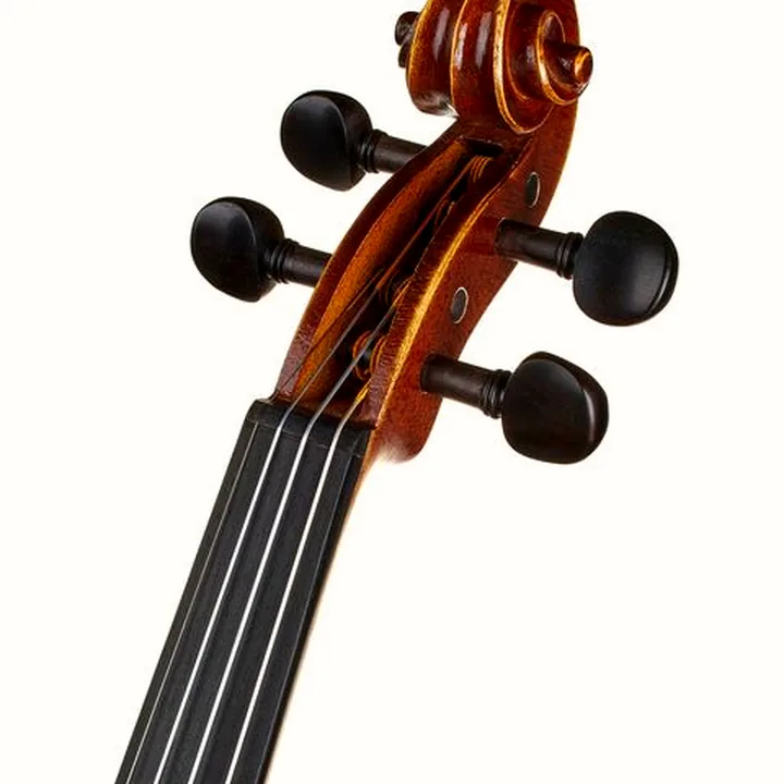 Le violon Gewa Allegro Violin 4/4 OC LH CB / Test et Avis
