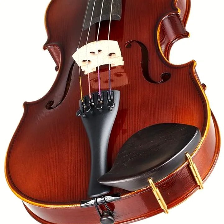 Le violon Gewa Allegro Violin 4/4 OC LH CB / Test et Avis