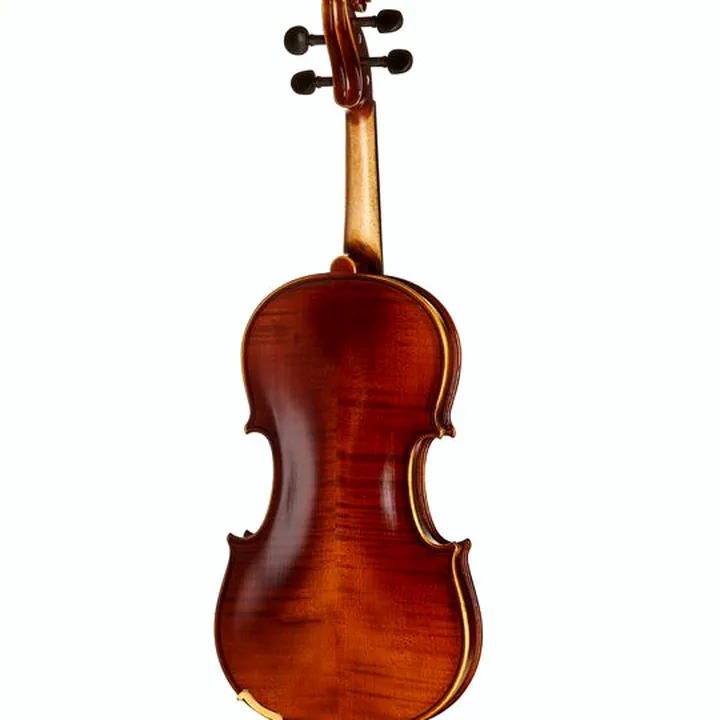 Le violon Gewa Allegro Violin 4/4 OC LH CB / Test et Avis