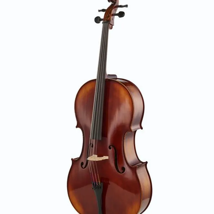 Avis & Test du violoncelle Gewa Allegro VC1 Cello Set 1/8 CB
