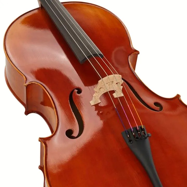 Avis & Test du violoncelle Gewa Maestro 1 Cello Set 4/4 CB