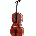 Avis & Test du violoncelle Stentor SR1586 Cello Conservatoire 4/4