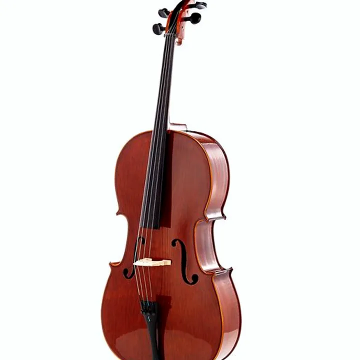 Avis & Test du violoncelle Stentor SR1586 Cello Conservatoire 4/4