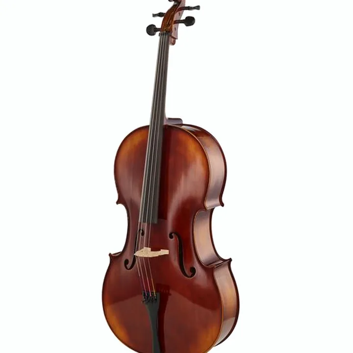 Avis & Test : Gewa Allegro VC1 Cello Set 7/8 CB