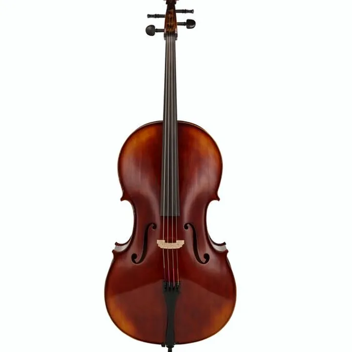 Avis & Test : Gewa Allegro VC1 Cello Set 7/8 CB