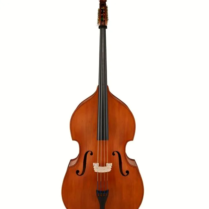 Avis & Test : Gewa Europa Student Double Bass 1/4