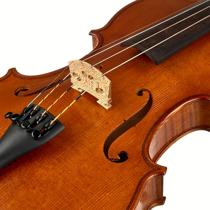 Avis & Test : Gewa Germania 11L Berlin An. Violin