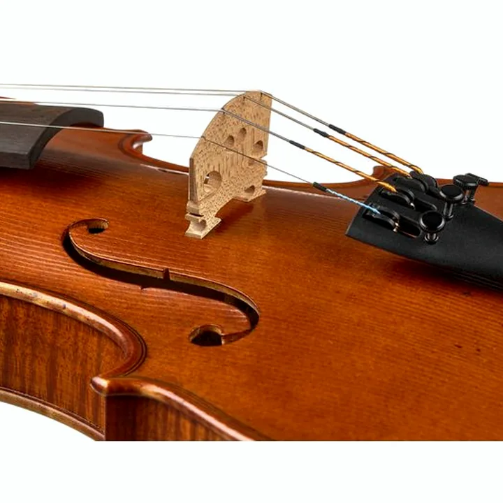 Avis & Test : Gewa Germania 11L Berlin An. Violin