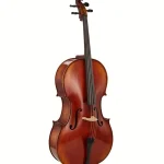 Avis, Test : Gewa Maestro 2 Cello Set 4/4 MB
