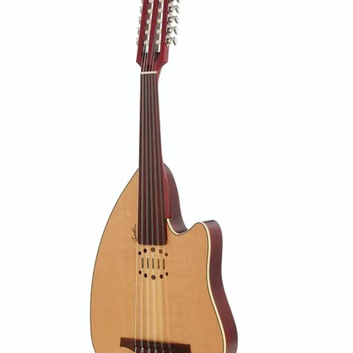 Avis & Test : Godin MultiOud Encore Nylon