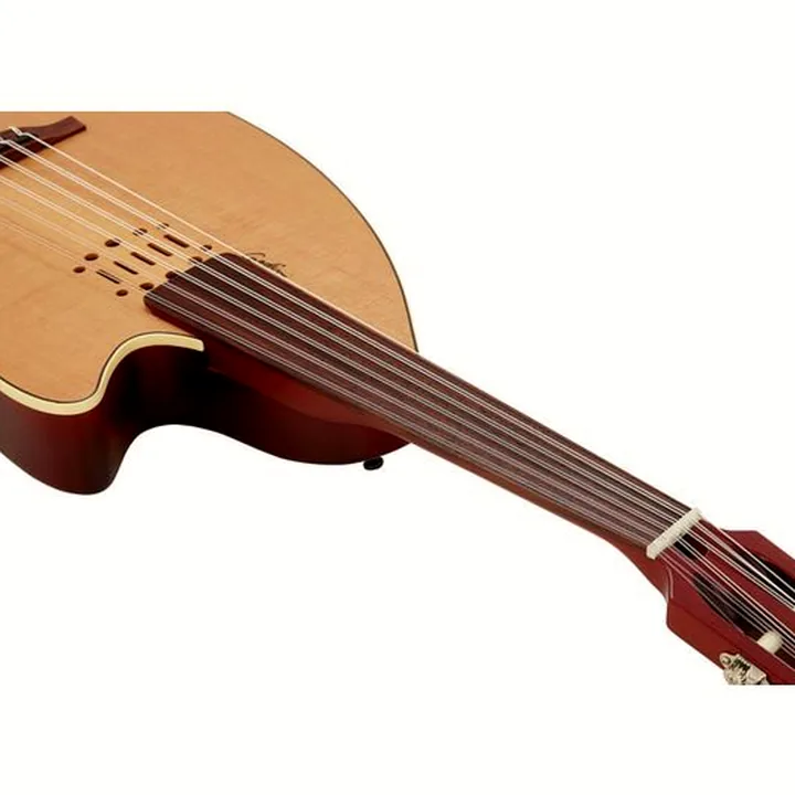 Avis & Test : Godin MultiOud Encore Nylon