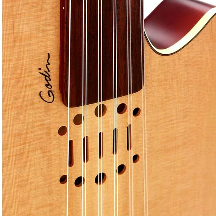 Avis & Test : Godin MultiOud Encore Nylon