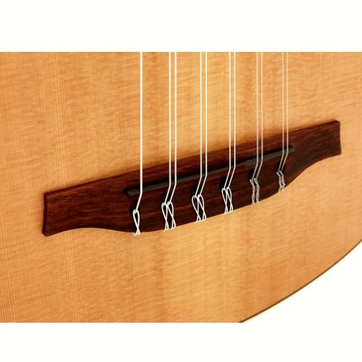 Avis & Test : Godin MultiOud Encore Nylon