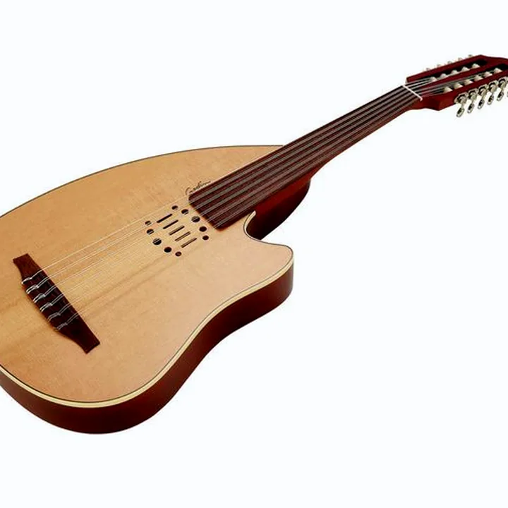 Avis & Test : Godin MultiOud Encore Nylon