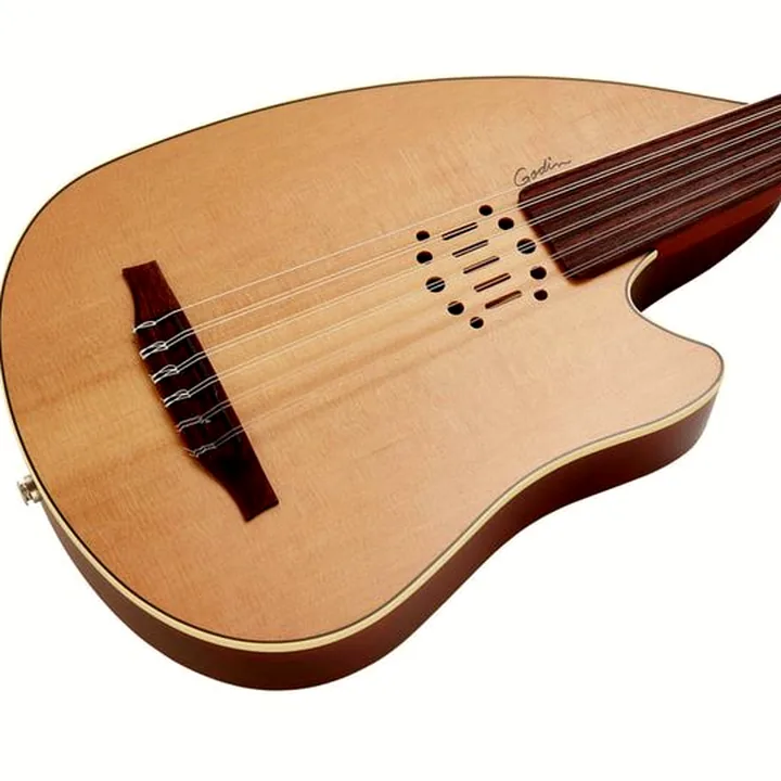 Avis & Test : Godin MultiOud Encore Nylon
