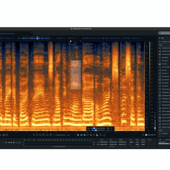 Avis, Test : iZotope RX 10 Adv UG RX Elem / PlgPack
