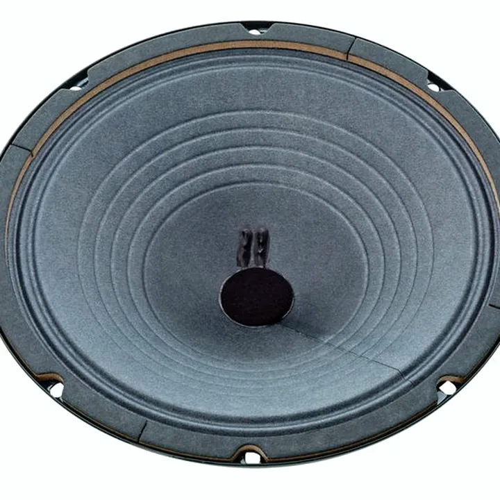 Avis & Test : Jensen P10R Alnico Vintage 4Ohm
