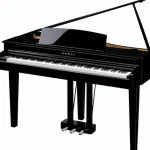 Avis & Test : Kawai DG 30 Set