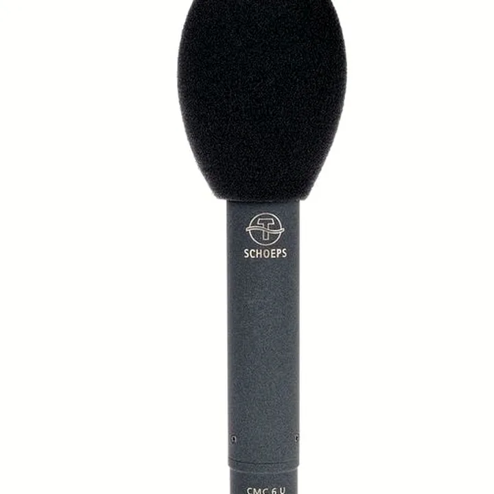 Avis & Test micro Schoeps Mono-Set MK 4