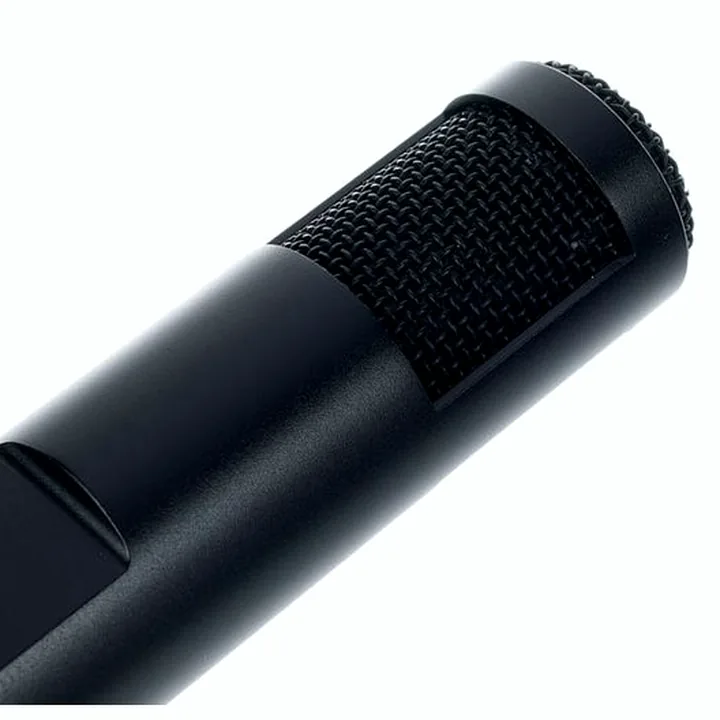 Test & Avis du micro Sennheiser MKH 30 P48