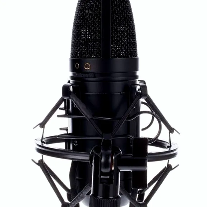 Avis, Test micro the t.bone SC 600