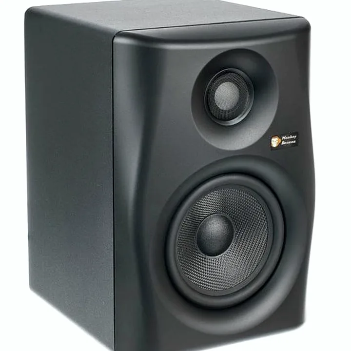 Avis, Test : Monkey Banana Lemur 5 Black