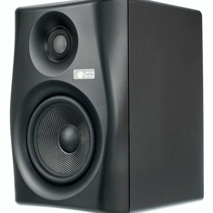 Avis, Test : Monkey Banana Lemur 5 Black