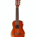 Avis, Test : Ortega RGLE18FMH Guitarlele