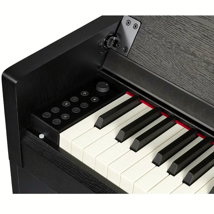 Gewa CP 510 Black, vue 9