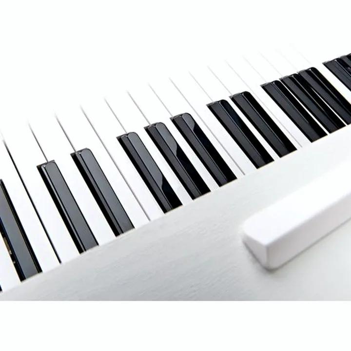 Avis, Test piano Thomann DP-95 WH Arranger Set