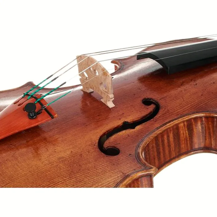 Violon Scala Vilagio F.H. Andrea Amati 1570 , Avis, Test & Comparatif