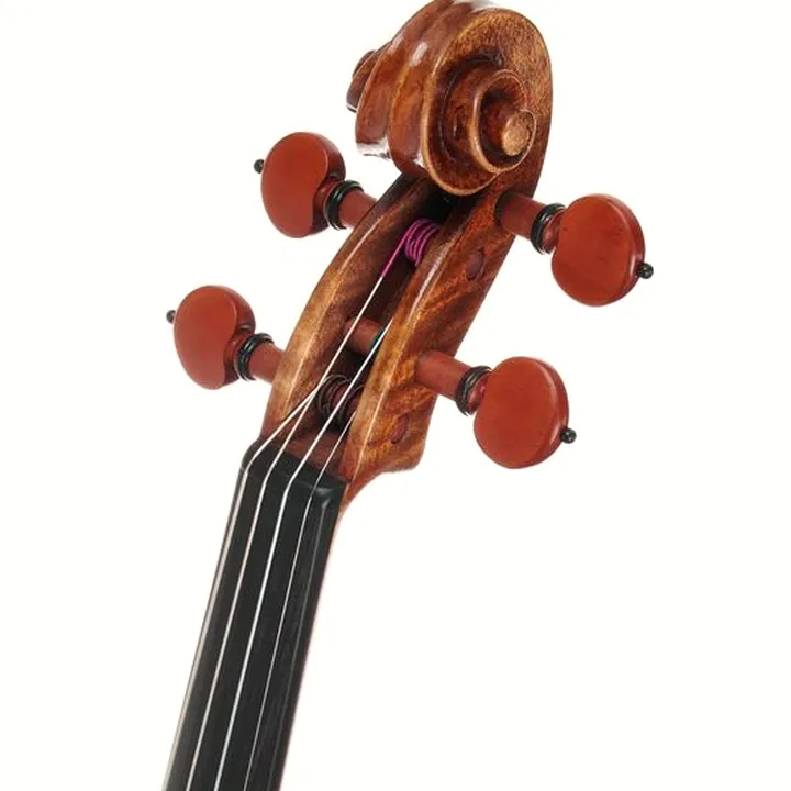 Violon Scala Vilagio F.H. Andrea Amati 1570 , Avis, Test & Comparatif