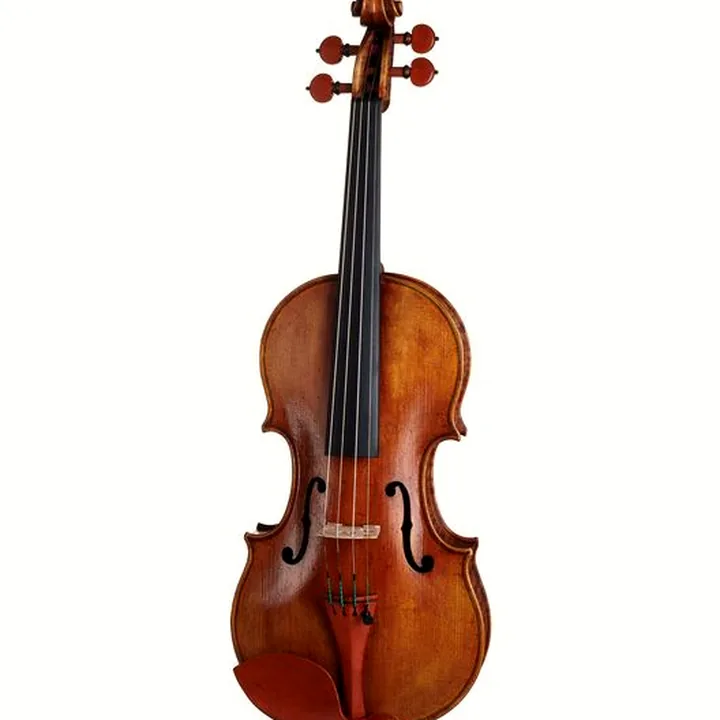 Violon Scala Vilagio F.H. Andrea Amati 1570 , Avis, Test & Comparatif