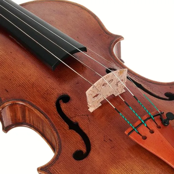 Violon Scala Vilagio F.H. Andrea Amati 1570 , Avis, Test & Comparatif