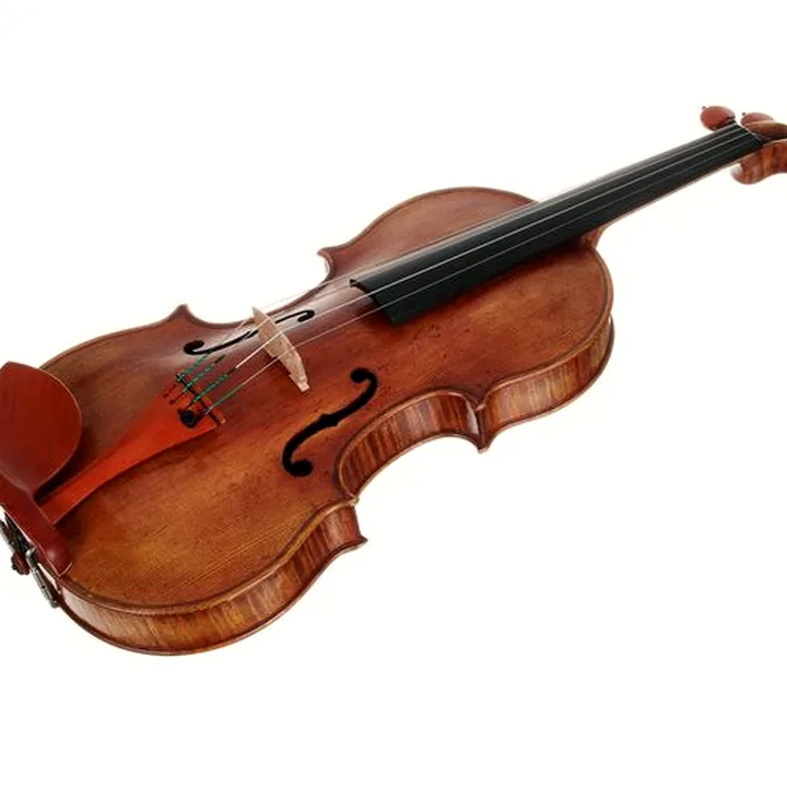Violon Scala Vilagio F.H. Andrea Amati 1570 , Avis, Test & Comparatif