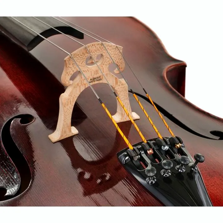 Avis & Test : Scala Vilagio L.V. Sleeping Beauty Cello 4/4