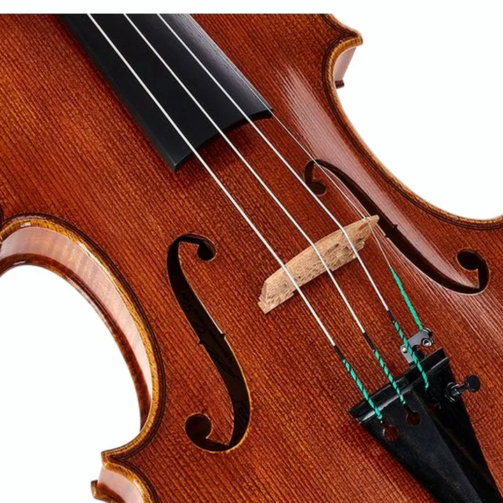 Violon Scala Vilagio R.O. Guarneri Eloge Violin , Avis, Test
