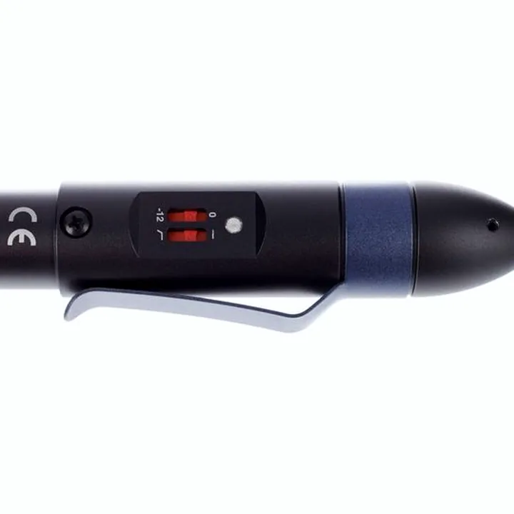 Test, Avis du micro Sennheiser E 908 B