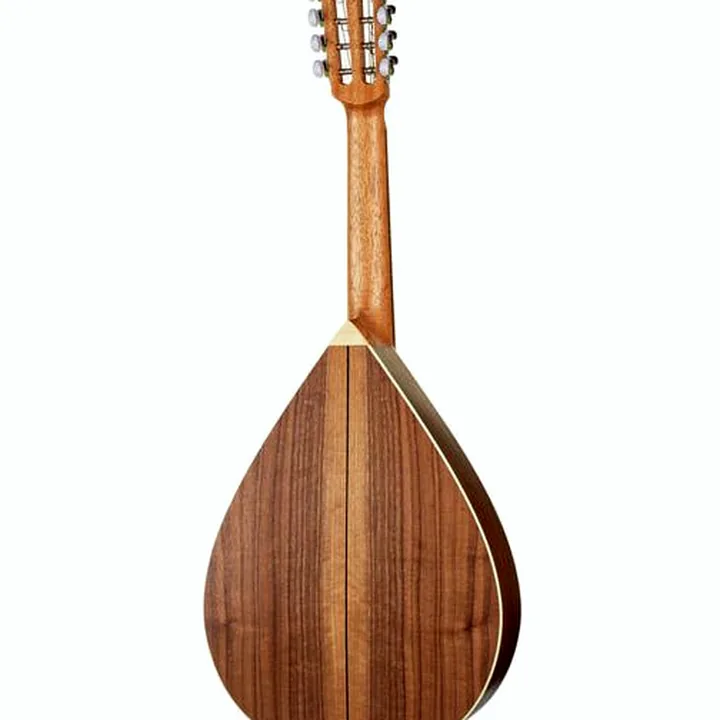 Avis & Test : Thomann Artist Mandola WLN
